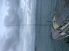 E2X Image